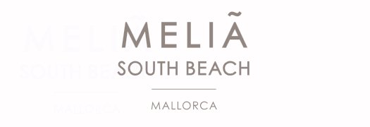 Hotel Melia South Beach